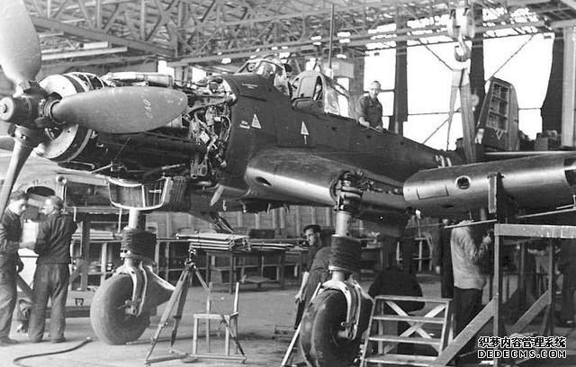 ս¹Ψһĺĸɽֺţ깤жǿս