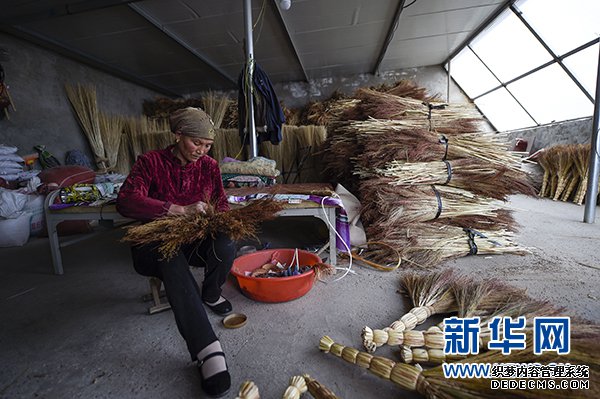 宁夏红寺堡决找BT传奇私服战决胜脱贫攻坚扫描