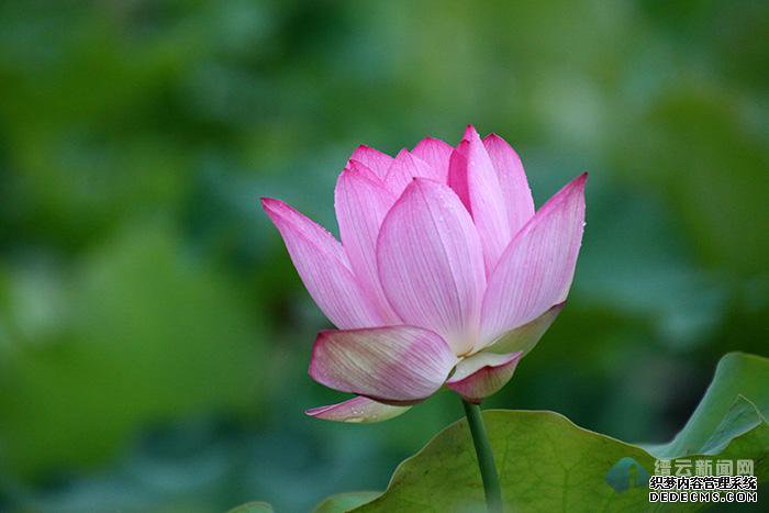 �ɷ������ҵ�ְҵ����˽��