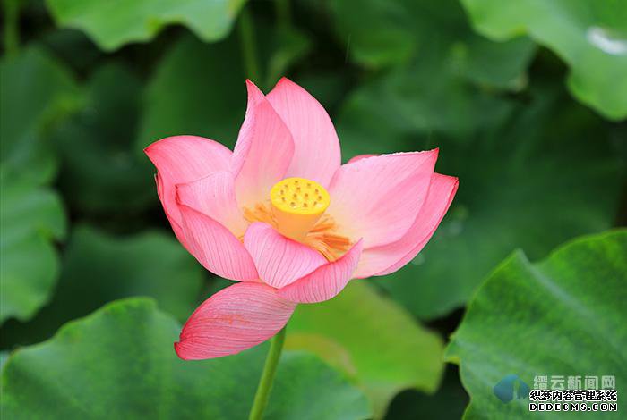 �ɷ������ҵ�ְҵ����˽��