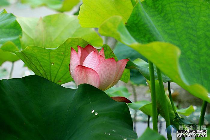 �ɷ������ҵ�ְҵ����˽��