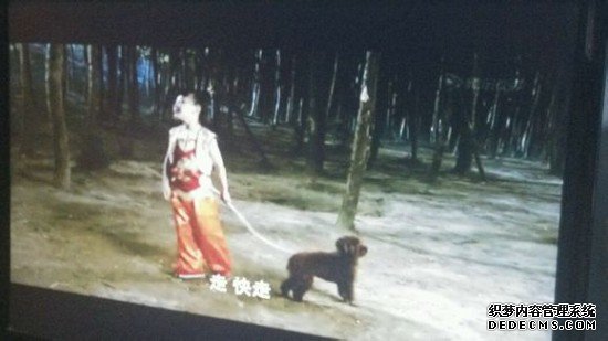 《找传奇网榜找单职业私服》十大雷点惨不忍睹(图)