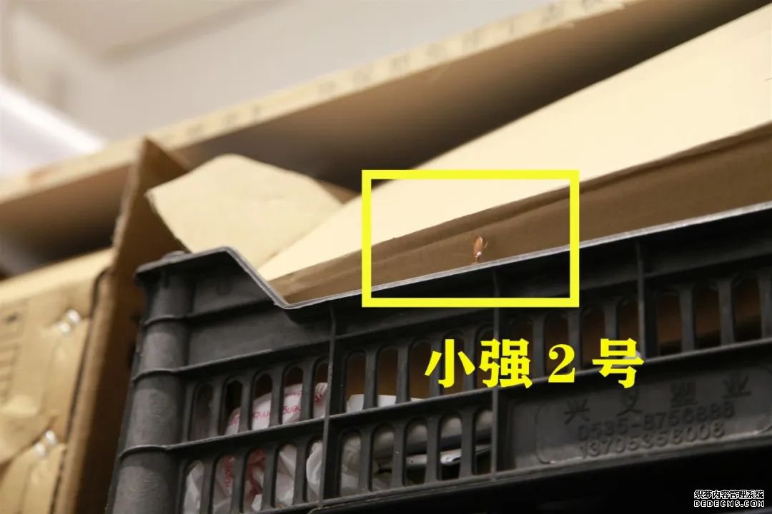 奶茶又出事!多家奶找单机传奇茶店被查出腐烂、霉变水果.....